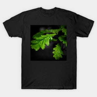 Raindrops On Oak Leaves T-Shirt